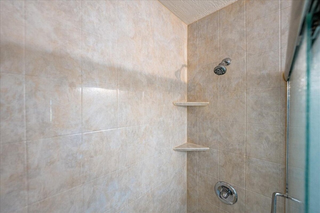 interior details with tiled shower