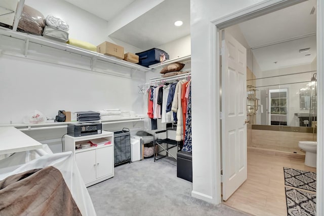 spacious closet with light colored carpet