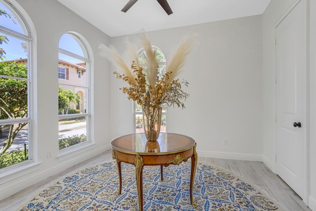 interior space featuring light hardwood / wood-style floors and ceiling fan