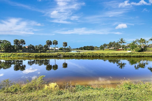 property view of water