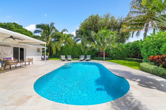 view of swimming pool with ceiling fan and a patio area