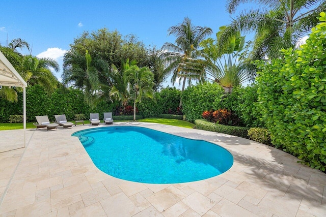 view of pool featuring a patio area