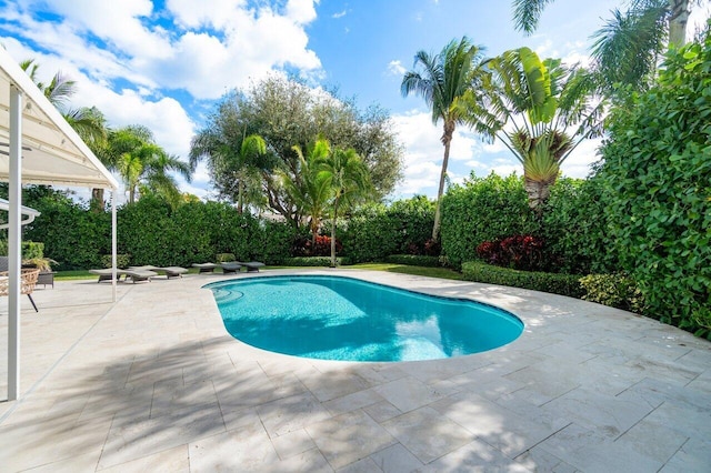 view of swimming pool with a patio area