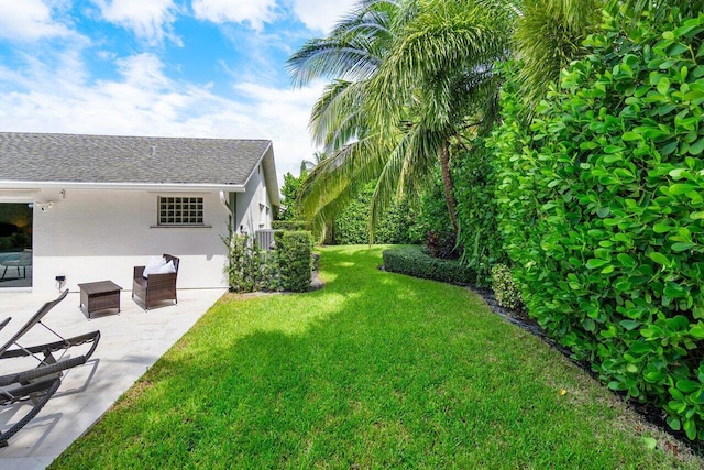 view of yard featuring a patio area