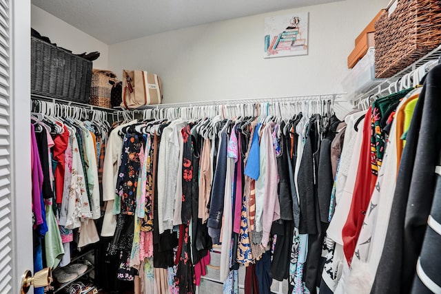 view of spacious closet