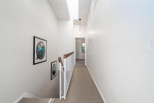 hall featuring carpet floors