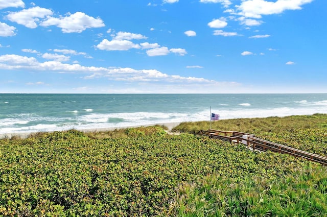 water view featuring a beach view