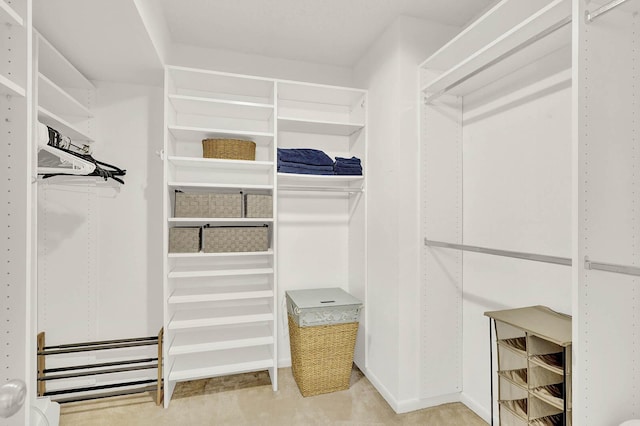 walk in closet featuring light colored carpet