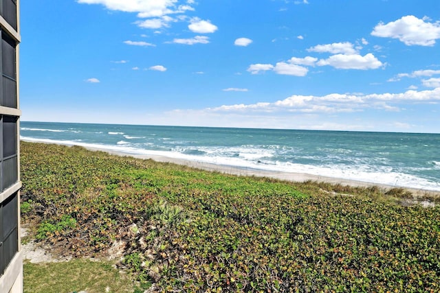 view of water feature with a beach view