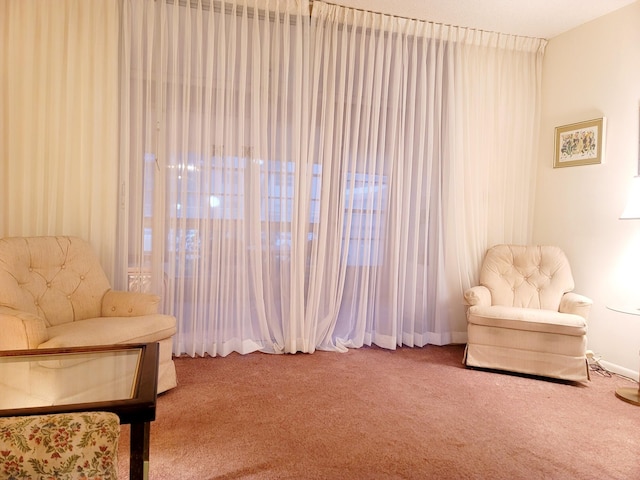 sitting room with carpet flooring