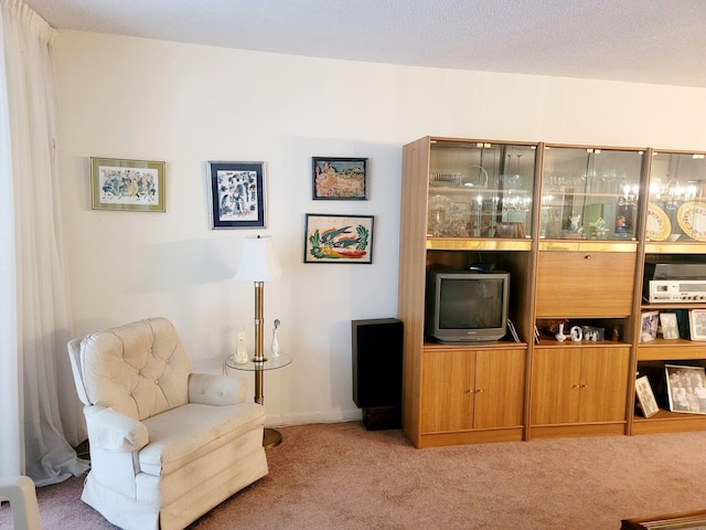 interior space with light colored carpet and a textured ceiling