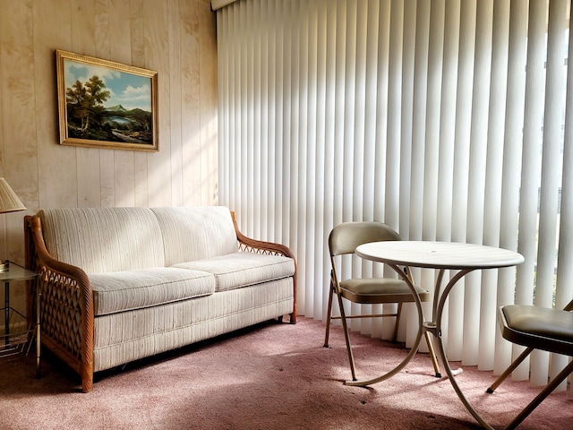 sitting room with wooden walls and carpet