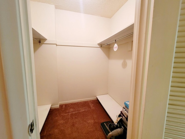 walk in closet with dark colored carpet