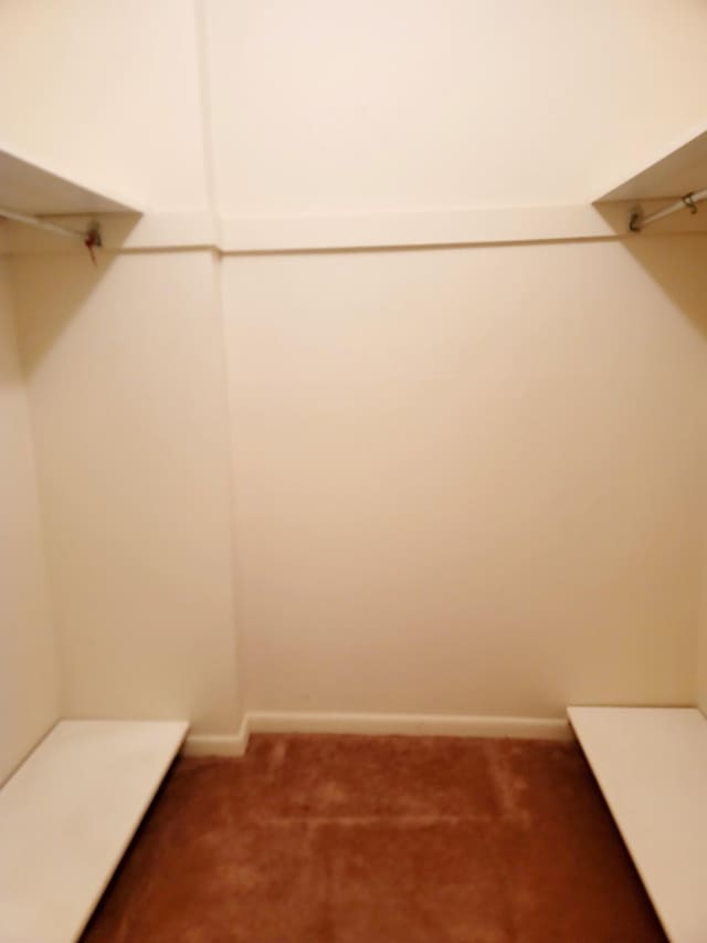 walk in closet with dark colored carpet