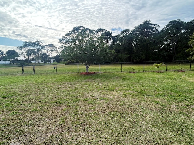 view of yard with a rural view