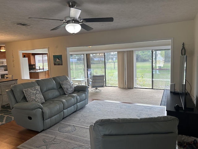 living room with hardwood / wood-style flooring, plenty of natural light, sink, and a textured ceiling