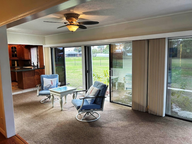 sunroom / solarium with ceiling fan