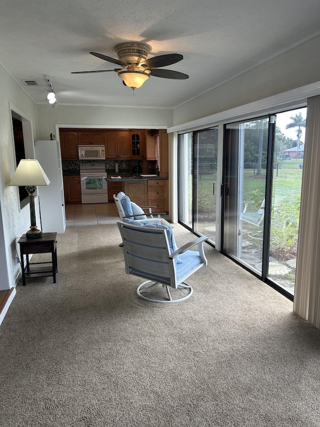 carpeted living room featuring ceiling fan and a textured ceiling