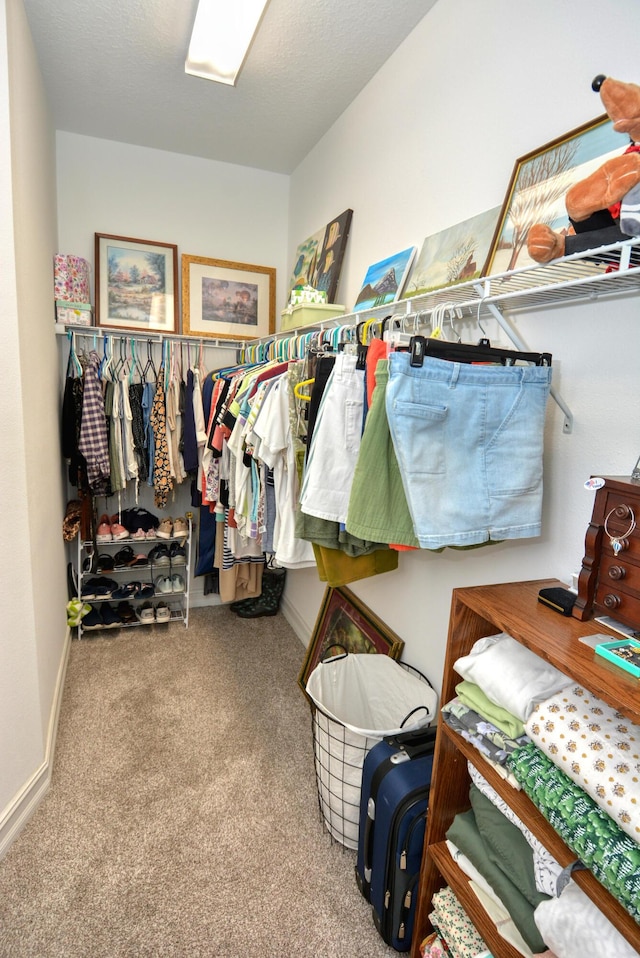 spacious closet featuring carpet