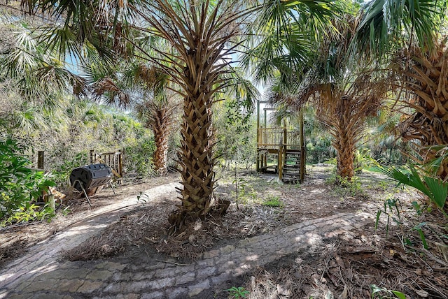 view of yard featuring a playground