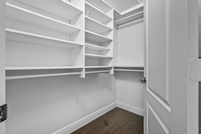 spacious closet featuring dark hardwood / wood-style floors