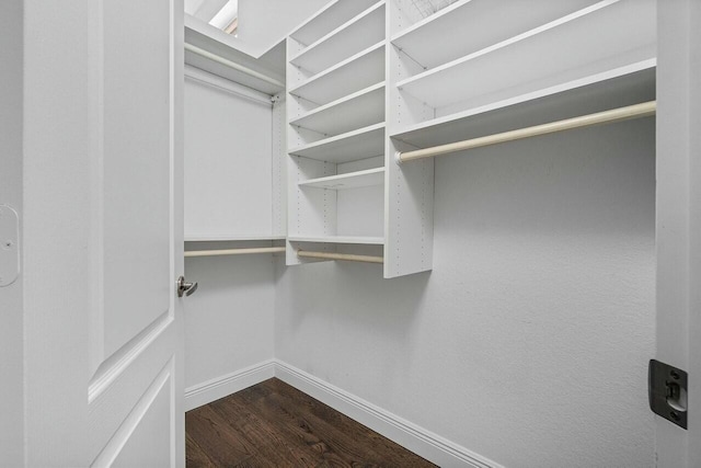 walk in closet with hardwood / wood-style floors