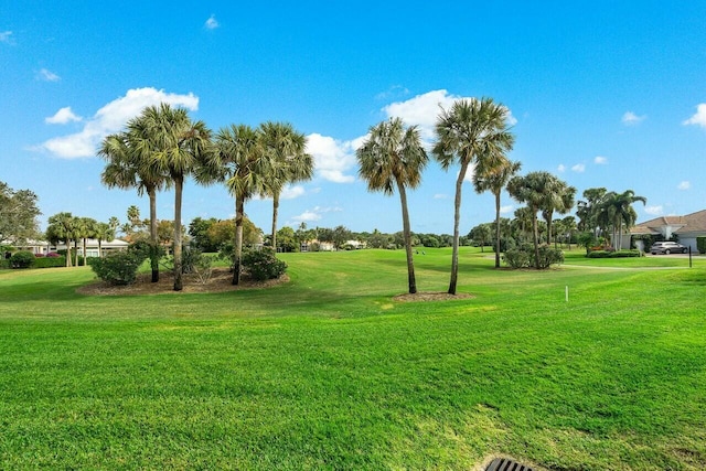 view of community featuring a yard