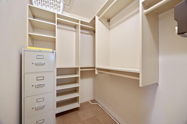 view of spacious closet