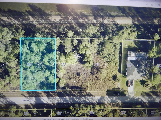 1047 Asther St E, Lehigh Acres FL, 33974 land for sale