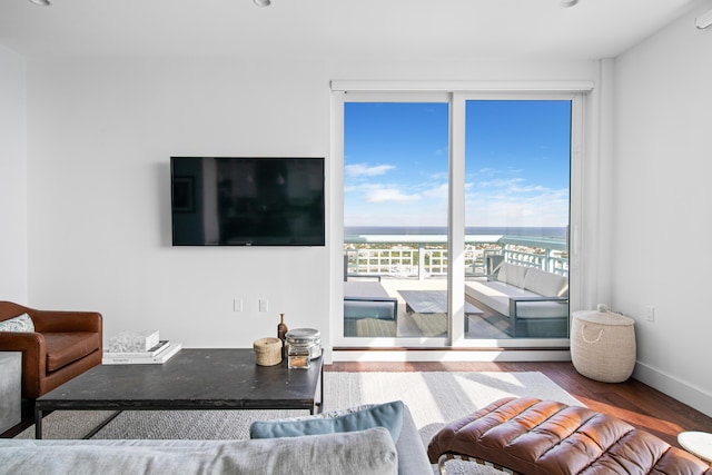 living room featuring hardwood / wood-style floors