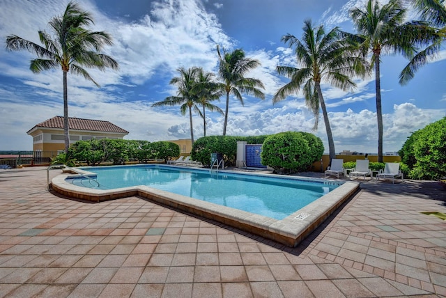 view of pool with a patio area