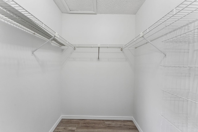 spacious closet with hardwood / wood-style floors