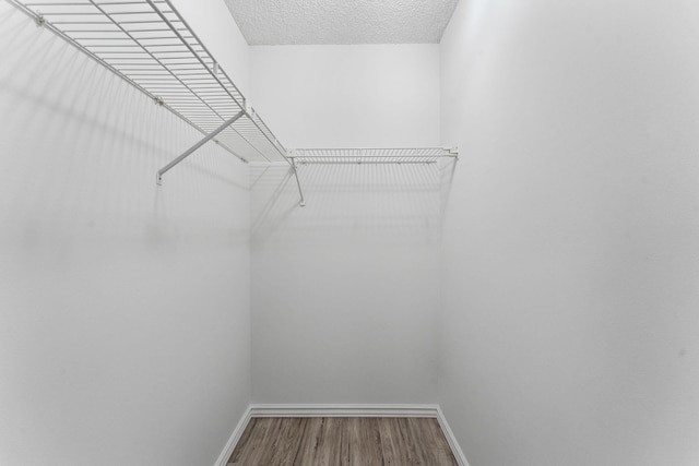 spacious closet featuring hardwood / wood-style floors