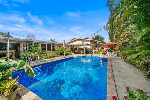 view of pool with a patio