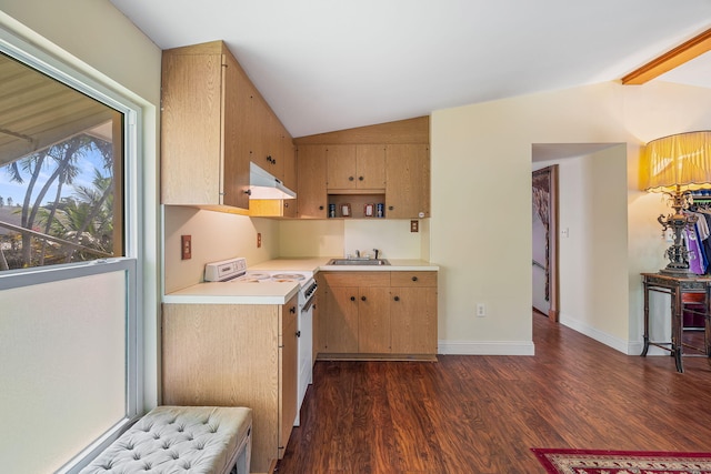 kitchen with sink, range, dark hardwood / wood-style flooring, and vaulted ceiling