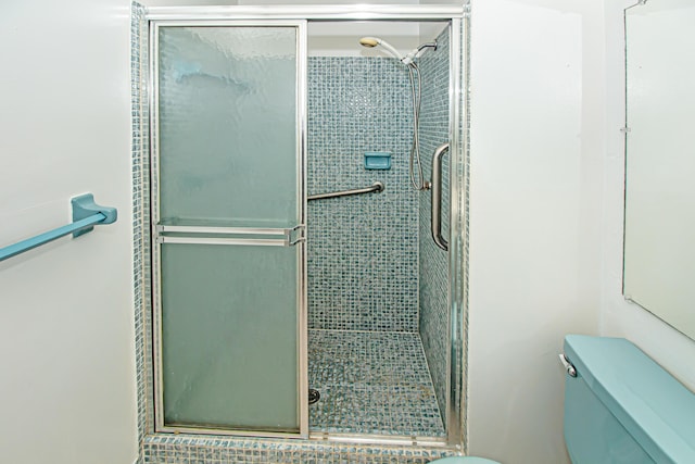 bathroom featuring toilet and walk in shower