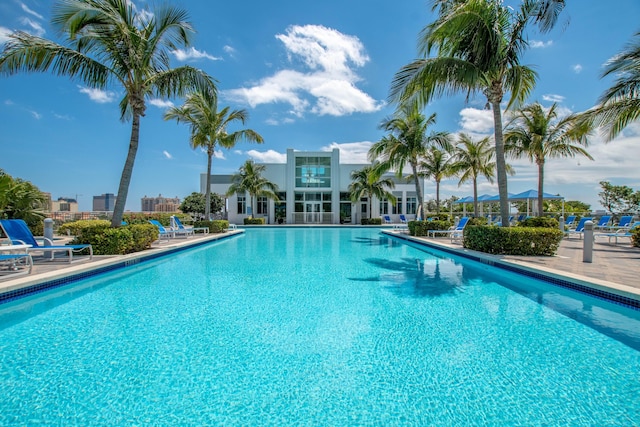 view of pool with a patio