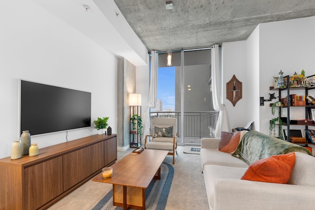 living room with expansive windows