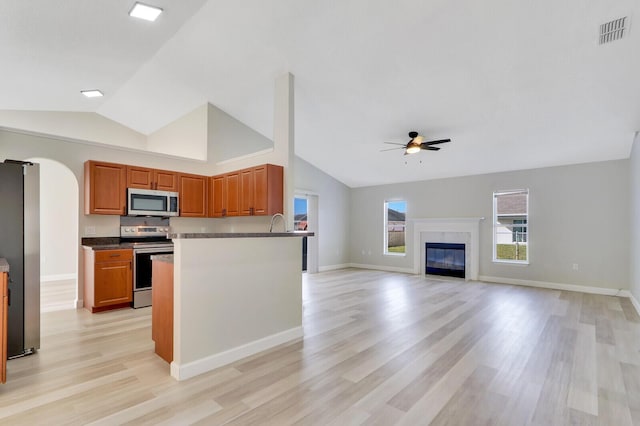 kitchen featuring stainless steel appliances, sink, ceiling fan, light hardwood / wood-style flooring, and a high end fireplace