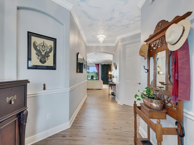 hallway featuring light wood-type flooring and crown molding