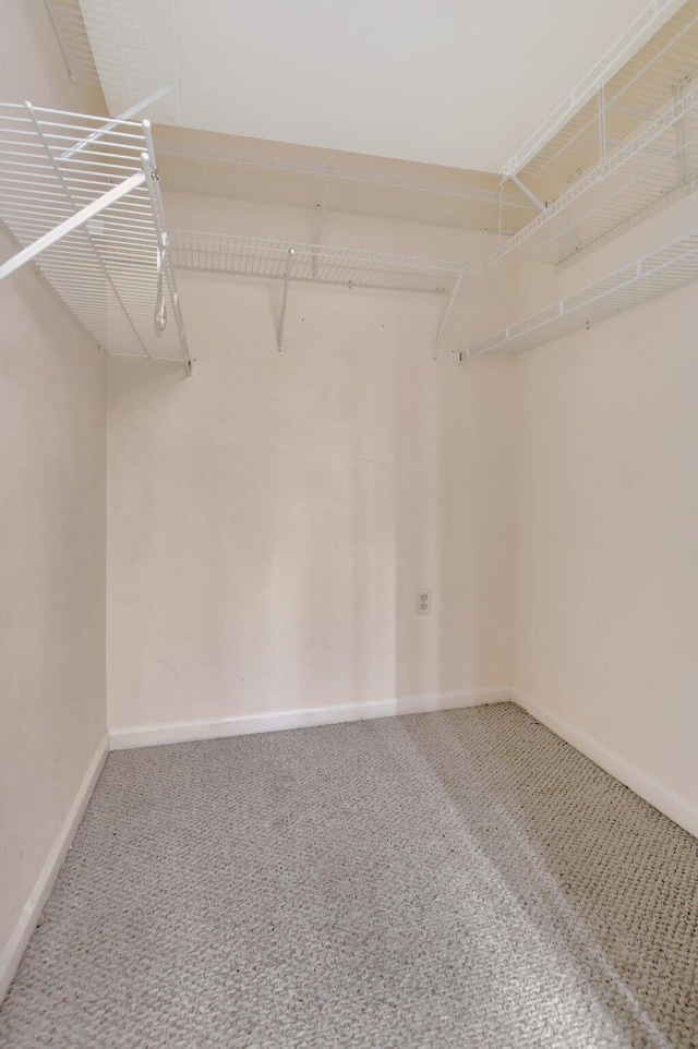 spacious closet featuring carpet floors