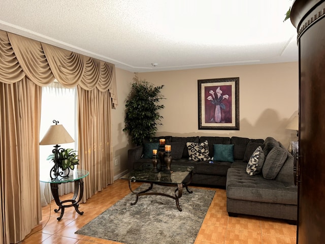 living room featuring a textured ceiling