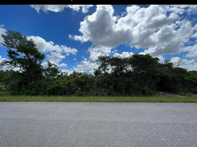 111 Marshall Ave, Lake Placid FL, 33852 land for sale