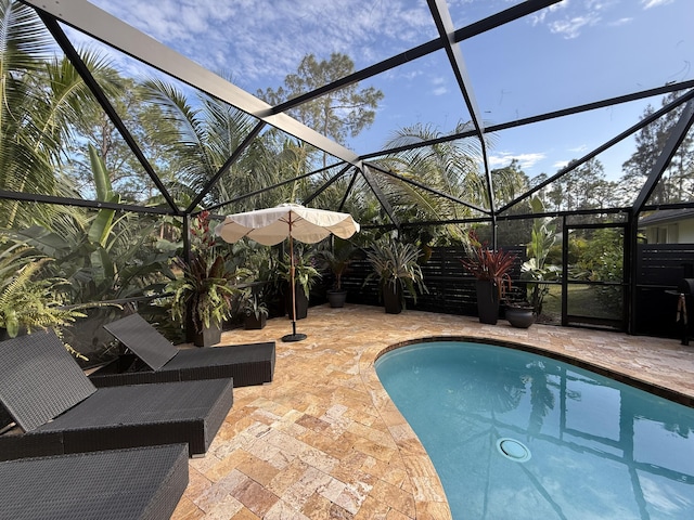 view of pool with a lanai and a patio