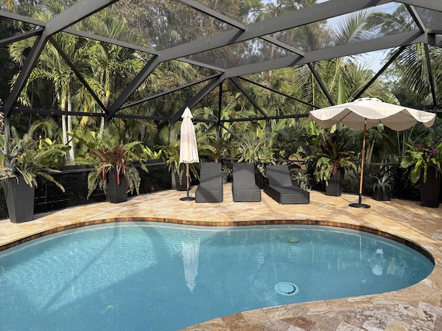 view of swimming pool with sink, a lanai, and a patio area