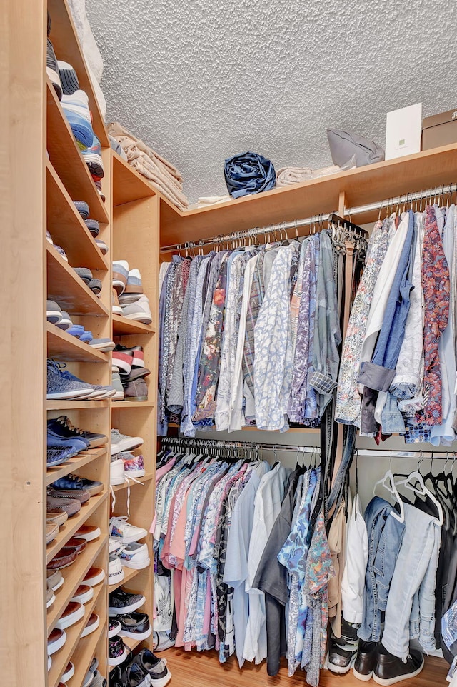 spacious closet with hardwood / wood-style floors