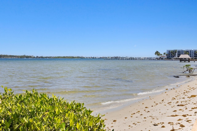 view of water feature featuring a view of the beach