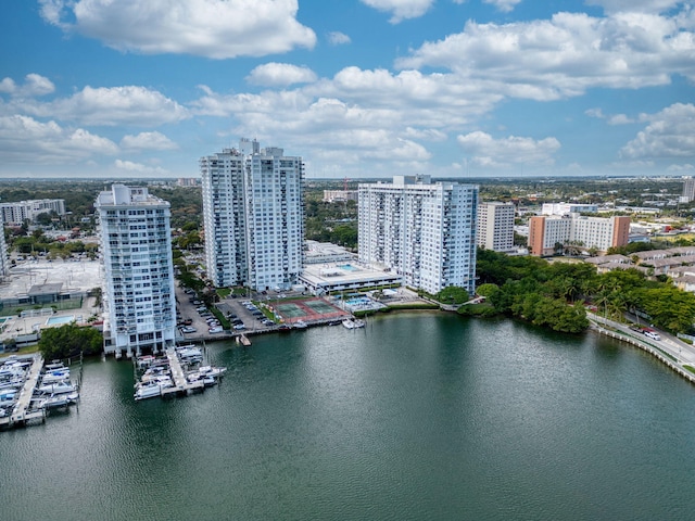 aerial view with a water view