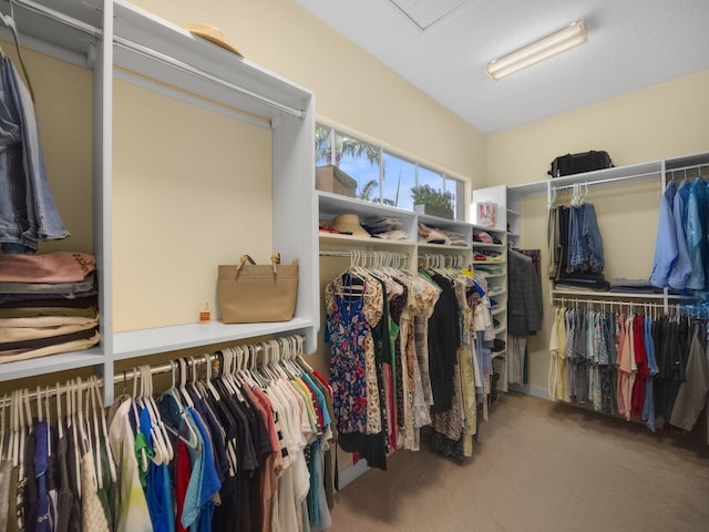 walk in closet featuring carpet flooring