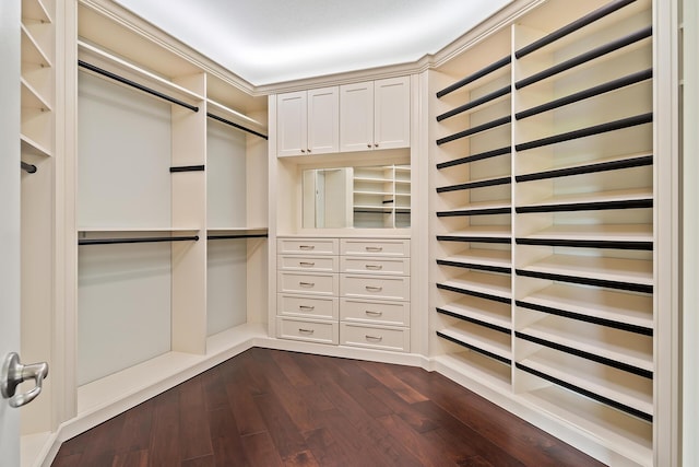 spacious closet featuring dark wood-type flooring